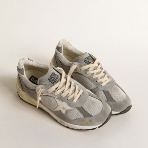 Golden Goose Dad-Star Sneakers In Suede And Silver Mesh With White Leather Star And Heel Tab GWF00558.F004944.60379